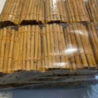 real cinnamon bulk purchase