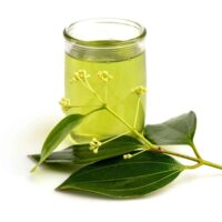 Cinnamon leave oil