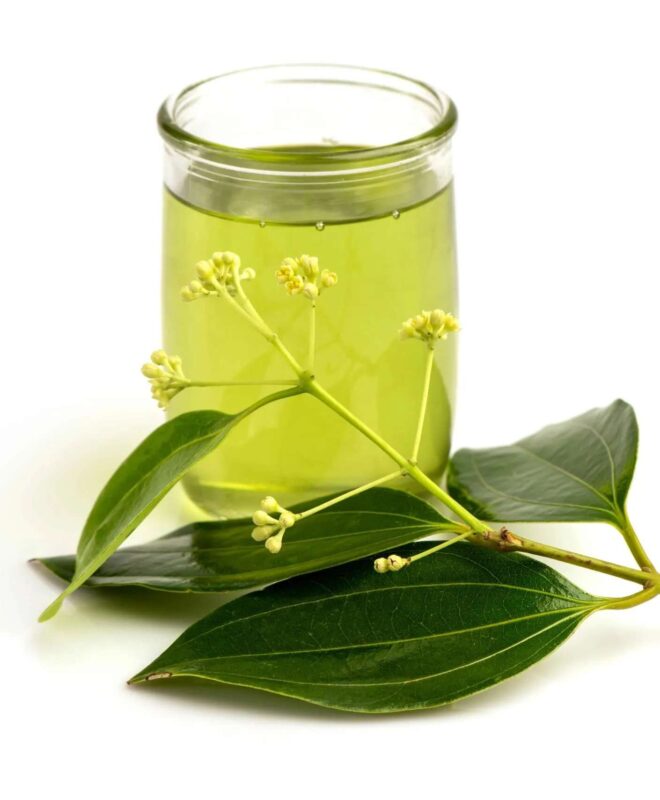Cinnamon leave oil
