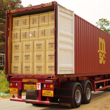 ceylon cinnamon export to USA