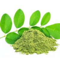 Moringa Leave Powder
