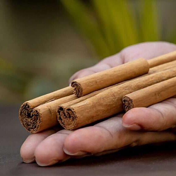 what is ceylon cinnamon