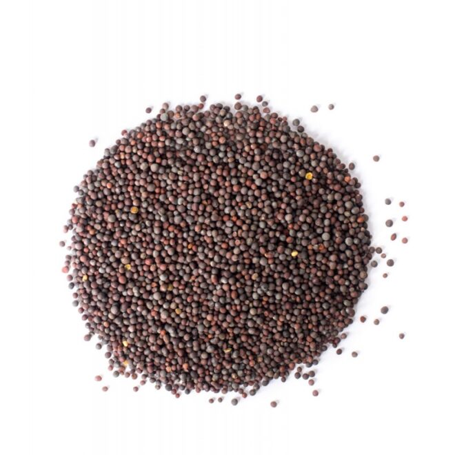 Mustard Seeds