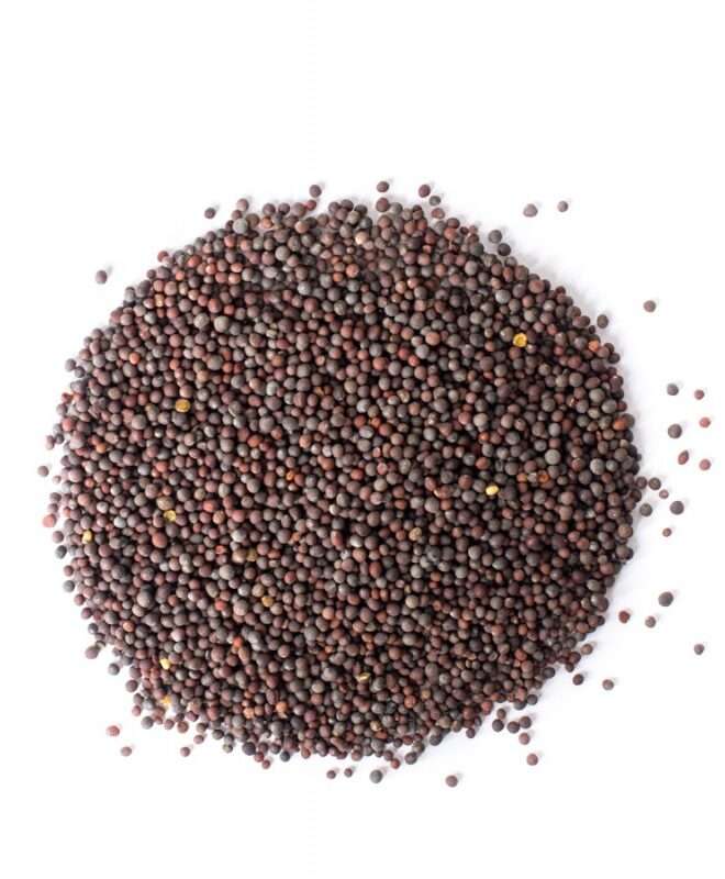 Mustard Seeds