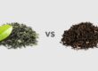 black-tea-vs-green-tea