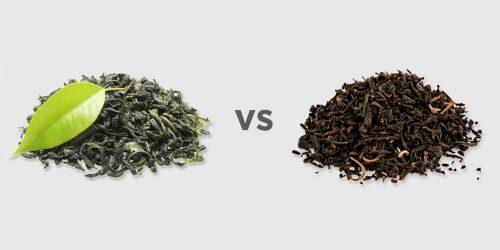 black-tea-vs-green-tea